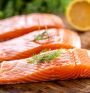 Salmon